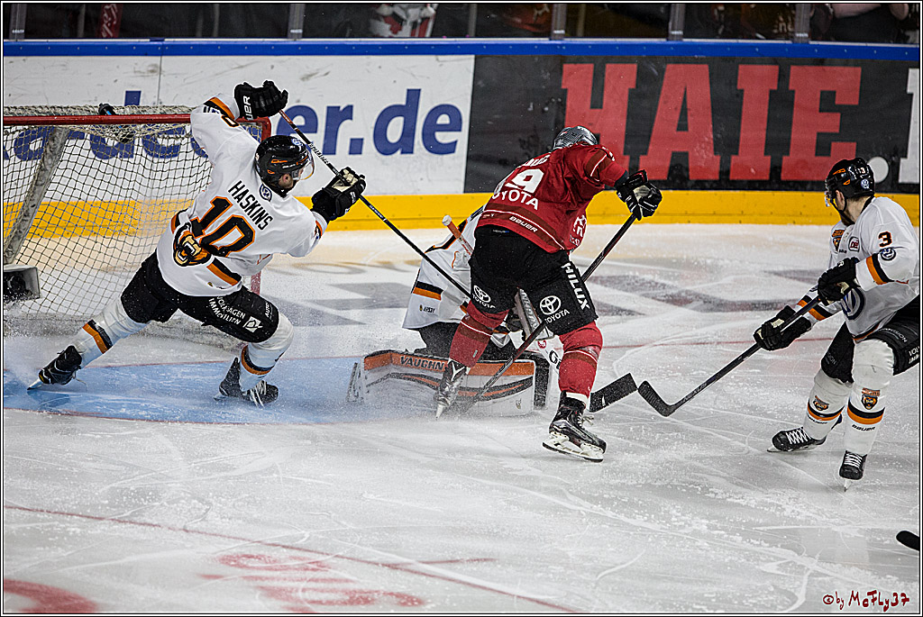 DEL, Koelner Haie - Grizzlys Wolfsburg, 21.03.2017